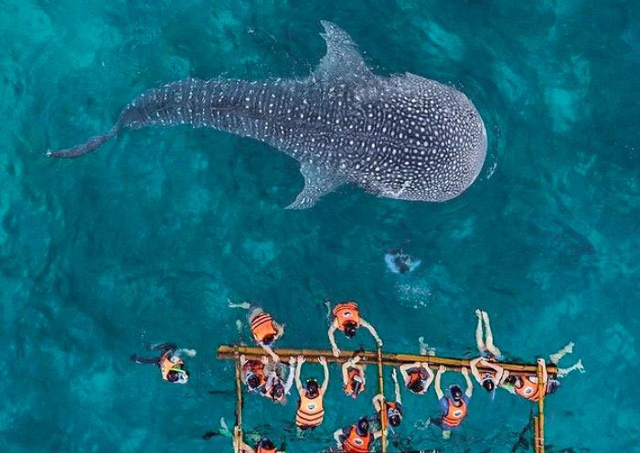 Philippines 6 Days Cebu and Bohol Island Cycling Tours